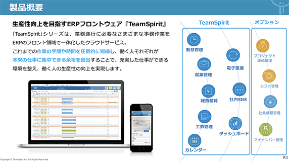 チームスピリット 資料表紙