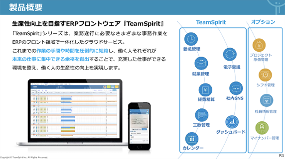 チームスピリット 資料表紙