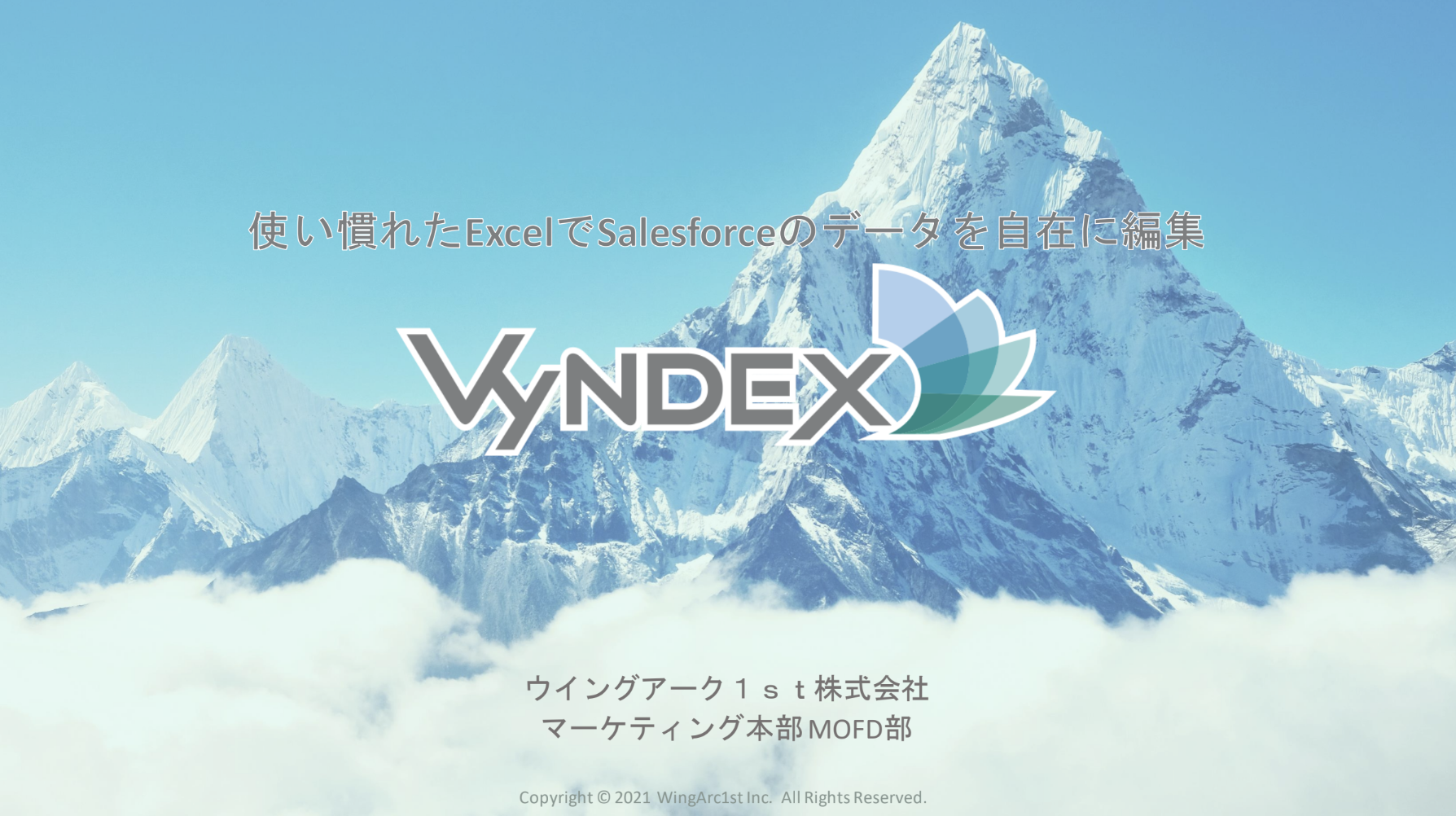 【VyNDEX】商品説明