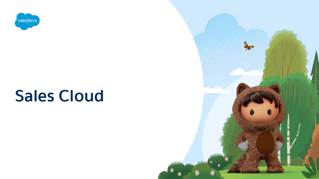 【Sales Cloud】商品説明